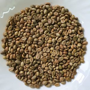 CÀ PHÊ NHÂN XANH ROBUSTA S18 CLEAN