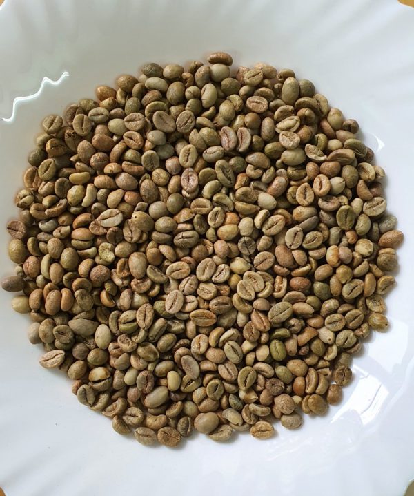 CÀ PHÊ NHÂN XANH ROBUSTA S18 CLEAN