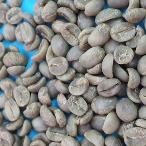 Cà phê nhân xanh Arabica S16