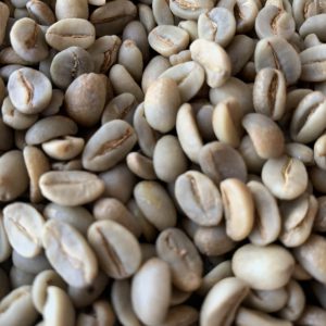 CÀ PHÊ NHÂN TYPICA