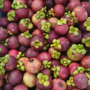 MĂNG CỤT LOẠI 1 BÌNH PHƯỚC