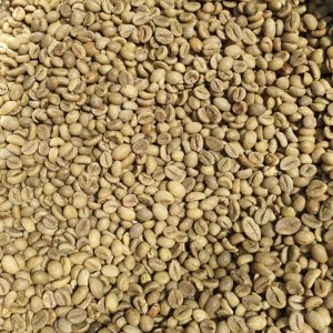ROBUSTA S16 WET POLISHED